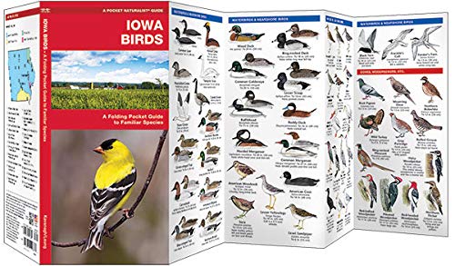 Iowa Birds: A Folding Pocket Guide to Familiar Species (Wildlife and Nature Identification),Used