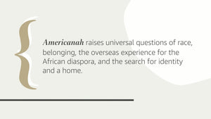 Americanah: A novel,New