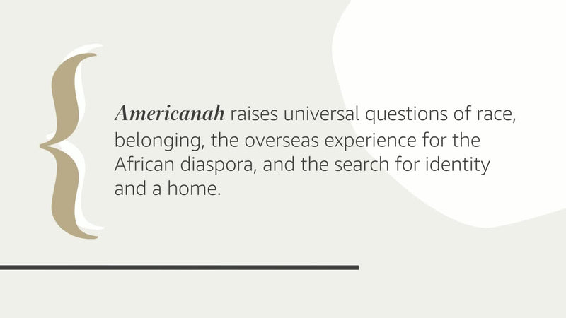 Americanah: A novel,New