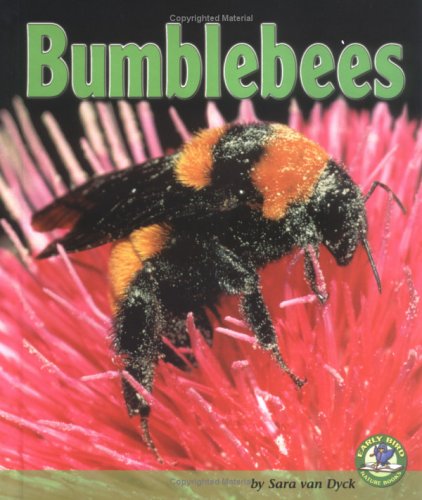 Bumblebees (Early Bird Nature Books),Used