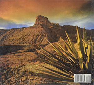 The Heart of Texas (The Heart of America Series),Used