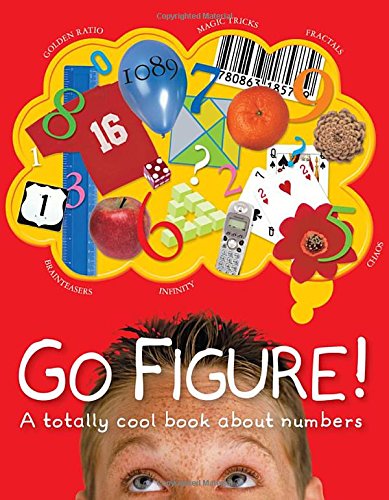 Go Figure!: A Totally Cool Book About Numbers (Big Questions),Used