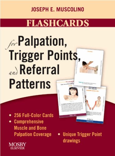 Flashcards for Palpation, Trigger Points, and Referral Patterns,Used