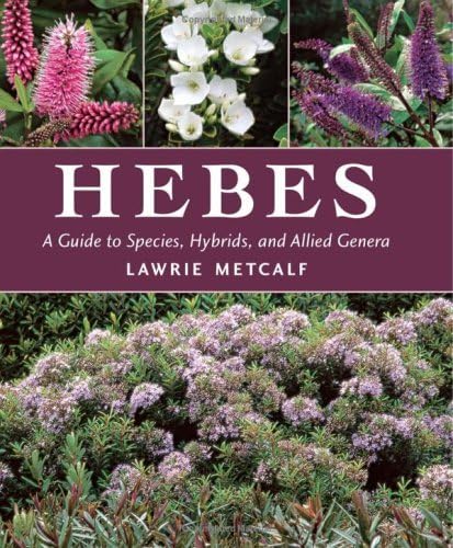 Hebes: A Guide To Species, Hybrids, And Allied Genera,New