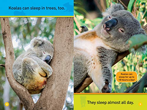 Climb, Koala! (National Geographic Kids Readers, PreReader),Used