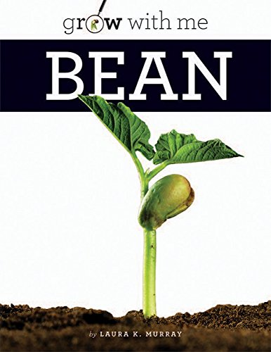 Bean (Grow with Me),Used