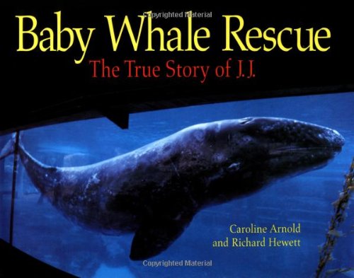 Baby Whale Rescue: The True Story Of J. J.,Used
