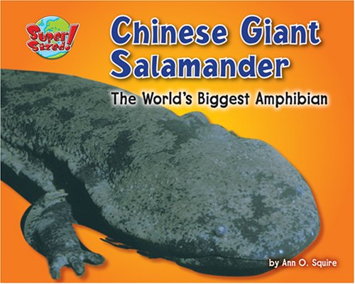 Chinese Giant Salamander: The World'S Biggest Amphibian (Supersized!)