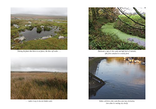 How To Read Water: Clues And Patterns From Puddles To The Sea (Natural Navigation)