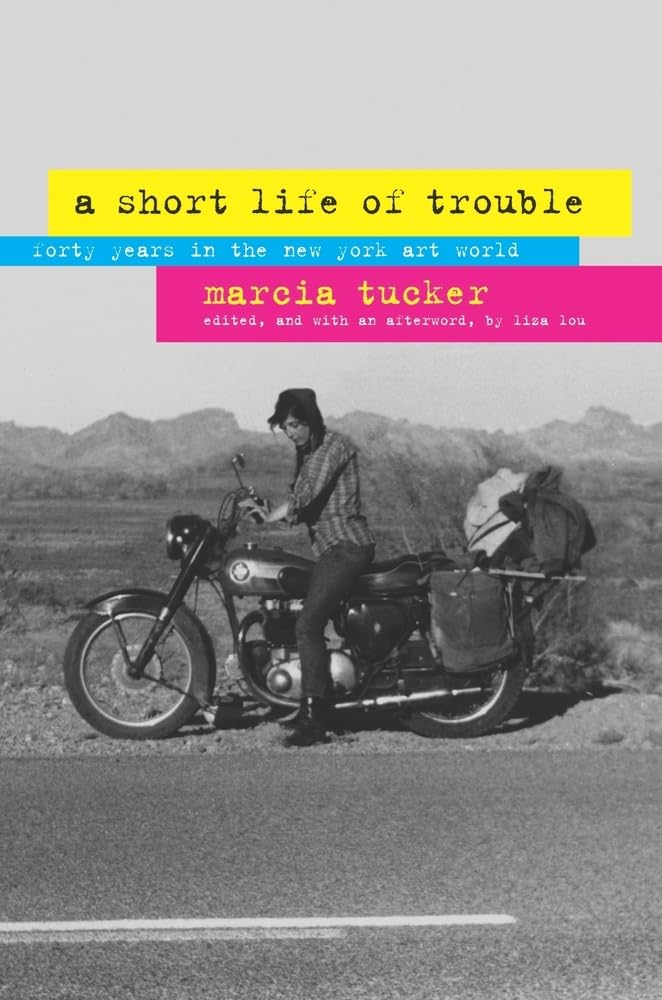 A Short Life of Trouble: Forty Years in the New York Art World,Used