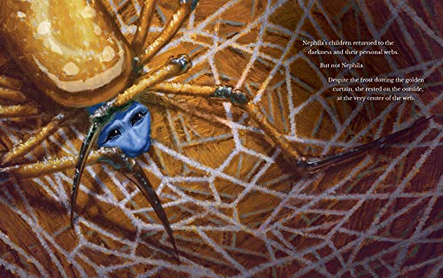 The Spider Who Saved Christmas,Used