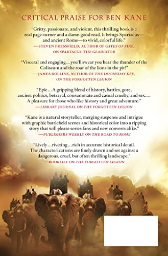 Consuming Desires: Consumption, Culture, and the Pursuit of Happiness,Used