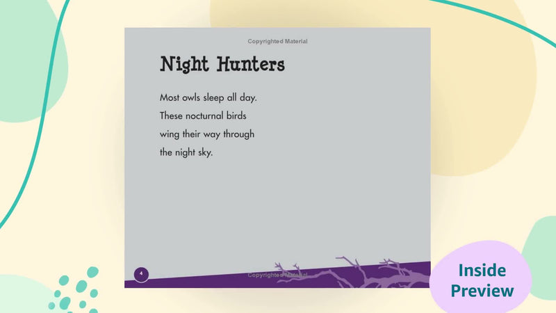 Owls (Pebble Plus: Nocturnal Animals),Used