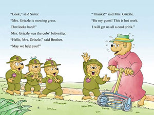 The Berenstain Bears A Neighbor in Need (I Can Read! / Good Deed Scouts / Living Lights),Used