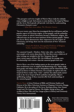 Secret Gospels: Essays on Thomas and the Secret Gospel of Mark,Used