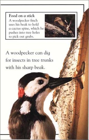 DK Readers: Munching, Crunching, Sniffing, and Snooping (Level 2: Beginning to Read Alone) (DK READERS LEVEL 2),Used