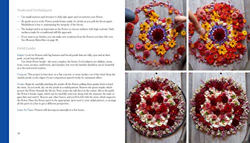 Foraged Art: Creating Projects Using Blooms, Branches, Leaves, Stones, and Other Elements Discovered in Nature,New