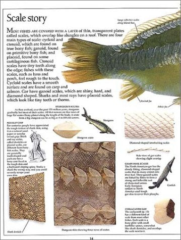 Eyewitness: Fish (Eyewitness Books),New