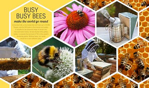 The Bee Book: Discover the Wonder of Bees and How to Protect Them for Generations to Come,Used
