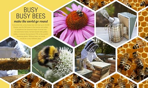 The Bee Book: Discover the Wonder of Bees and How to Protect Them for Generations to Come,Used