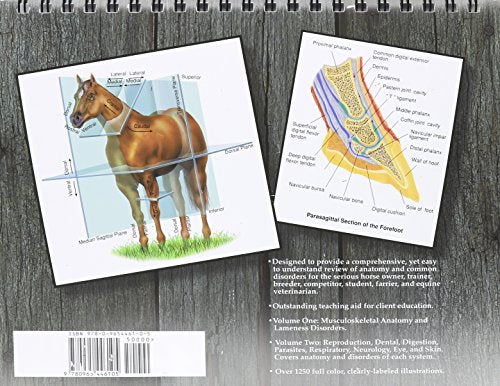 Illustrated Atlas of Clinical Equine Anatomy and Common Disorders of the Horse,Used