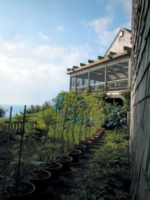 A Garden by the Sea,Used