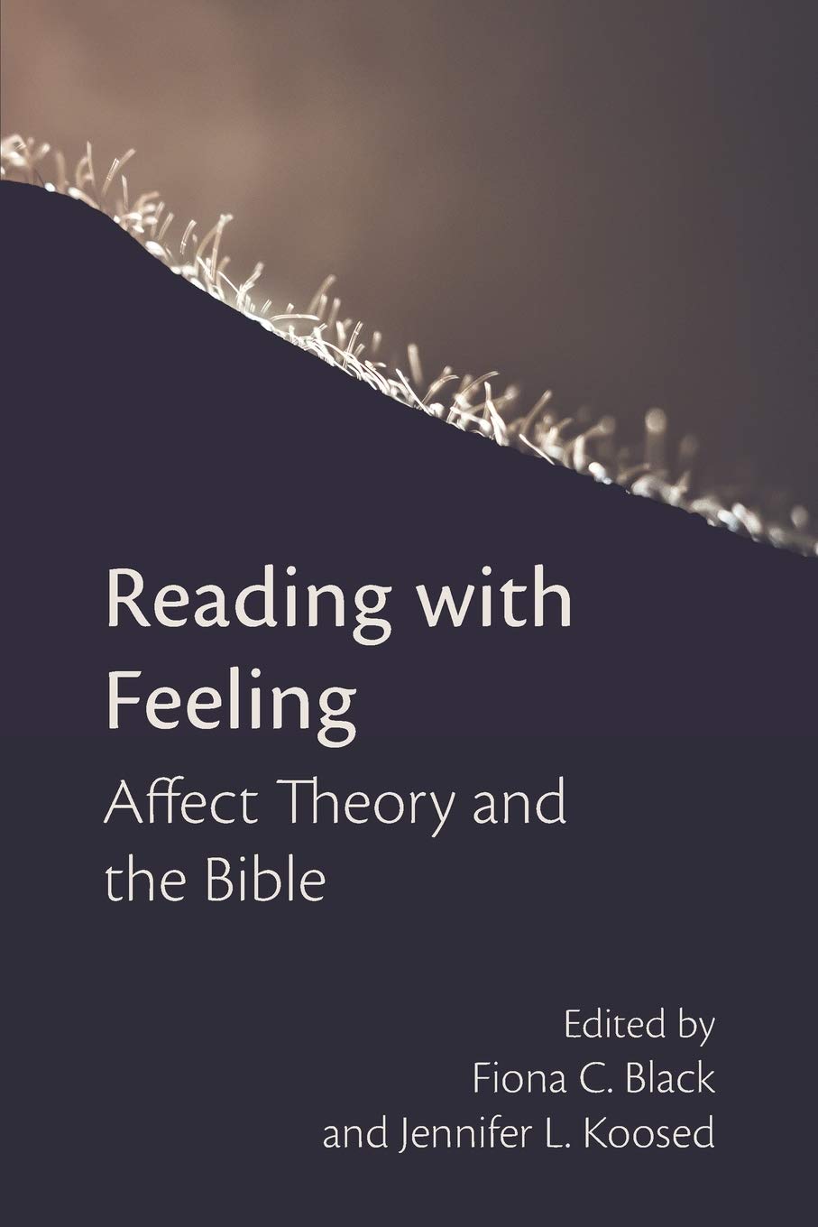 Reading with Feeling: Affect Theory and the Bible (Semeia Studies),Used
