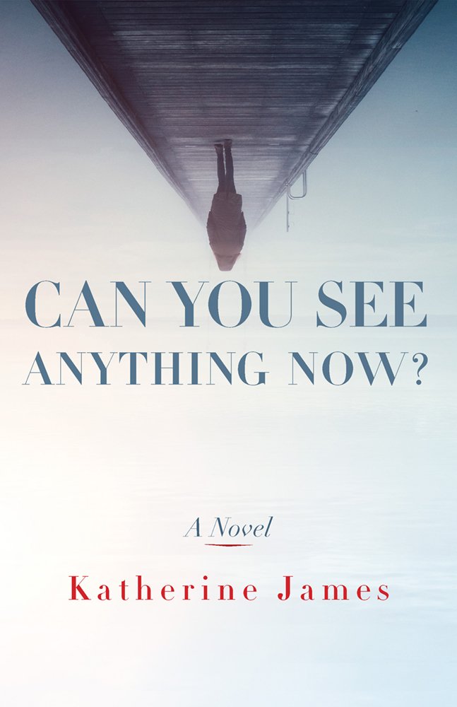 Can You See Anything Now?: A Novel (Paraclete Fiction),Used