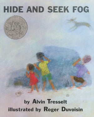 Hide And Seek Fog,Used