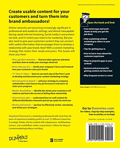 Content Marketing Strategies For Dummies,Used