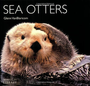 Sea Otters,New