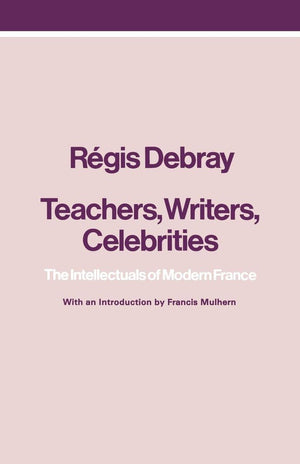 Teachers, Writers, Celebrities: The Intellectuals Of Modern France,New