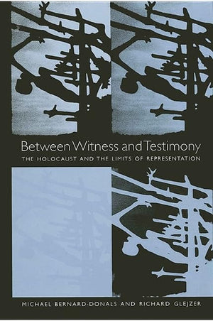 Between Witness and Testimony: The Holocaust and the Limits of Representation,Used