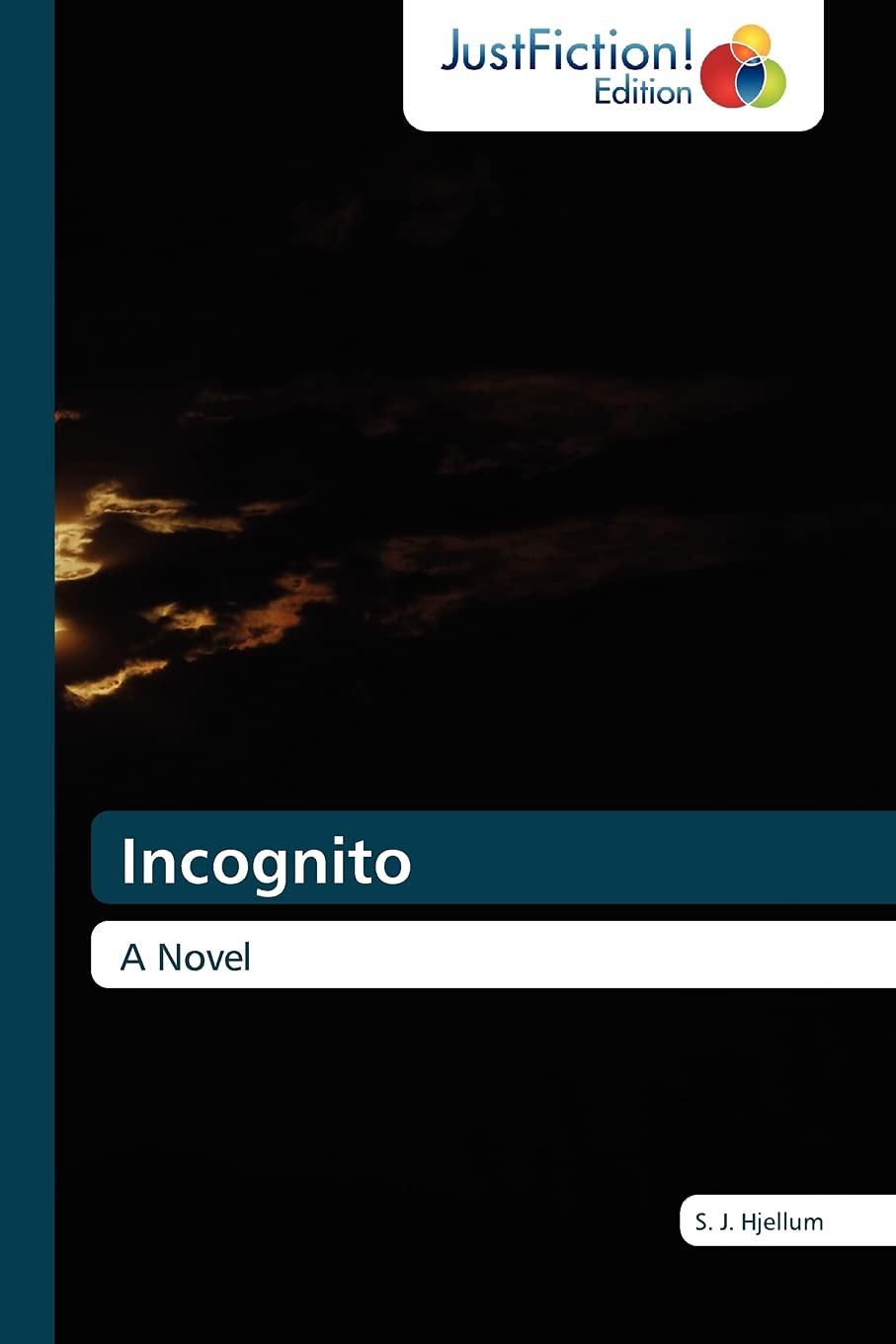 Incognito: A Novel,Used
