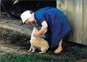 The Gift to be Simple: Life in the Amish Country,Used