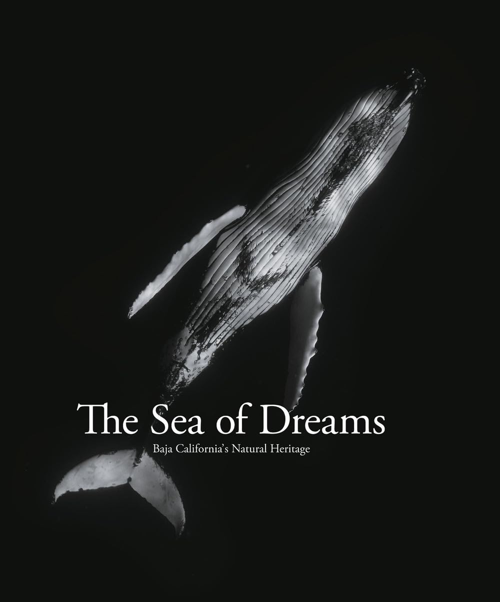 Sea Of Dreams: Baja California Natural Heritage