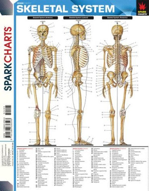 Skeletal System (SparkCharts),Used