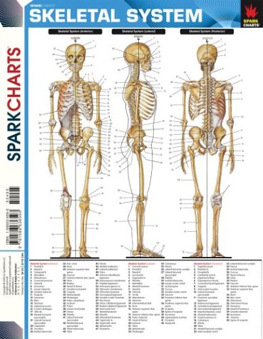 Skeletal System (SparkCharts),Used