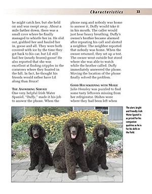 Irish Water Spaniel (Comprehensive Owner's Guide),Used
