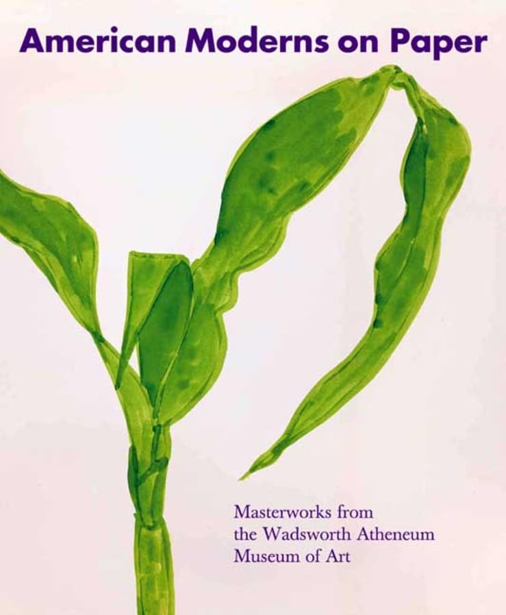 American Moderns On Paper: Masterworks From The Wadsworth Atheneum Museum Of Art,Used