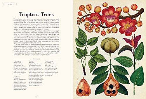 Botanicum: Welcome to the Museum,Used