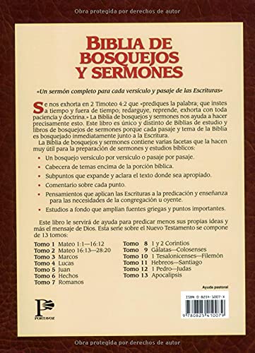 Biblia de bosquejos y sermones: Mateo 2 (Biblia de Bosquejos y Sermones N.T.) (Spanish Edition),Used
