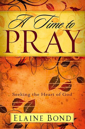 A Time To Pray: Seeking the Heart of God,Used