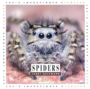 Spiders: Let's Investigate,Used