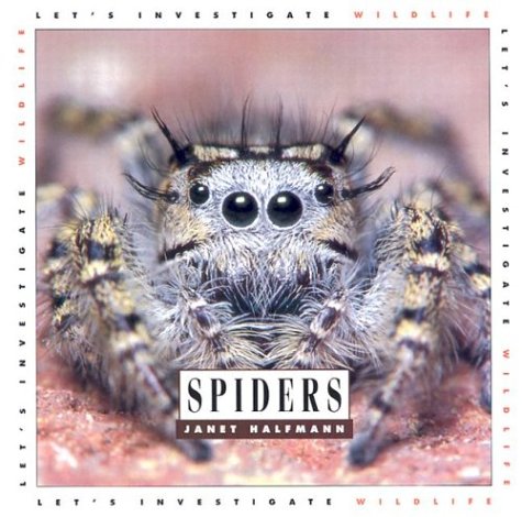 Spiders: Let's Investigate,Used
