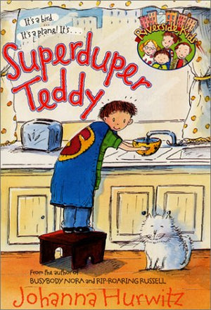 Superduper Teddy (Riverside Kids),Used