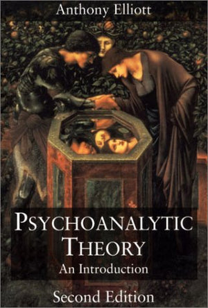 Psychoanalytic Theory: An Introduction (Social Studies across the Borders),Used