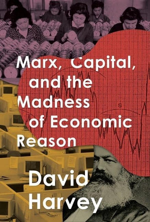 Marx, Capital, and the Madness of Economic Reason,Used