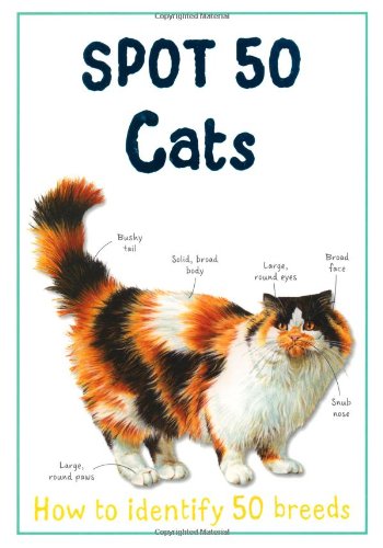 Spot 50  Cats,Used
