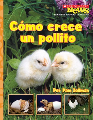 Como crece un pollito / A Chick Grows Up (Scholastic News Nonfiction Readers En Espanol) (Spanish Edition),Used